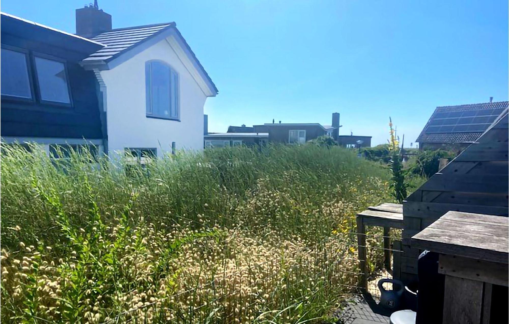 De Duinparel Daire Bergen aan Zee Dış mekan fotoğraf
